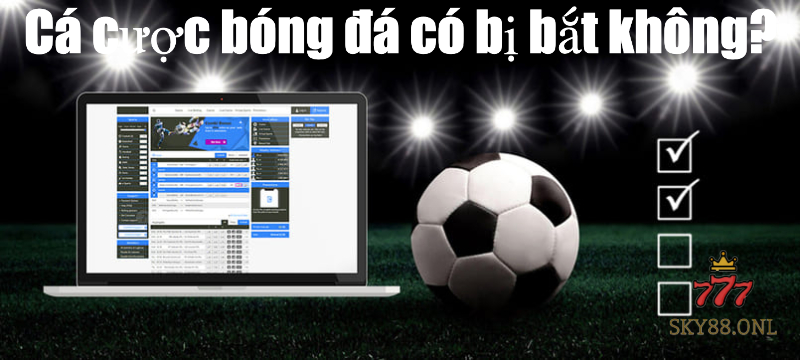 Cá cược bóng đá có phạm pháp không?