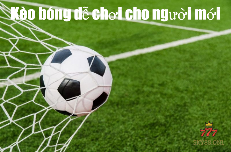 Kèo bóng dễ chơi cho người mới