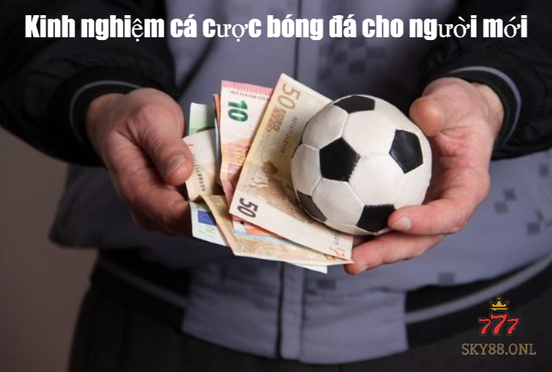 Kinh nghiệm cá cược bóng đá cho người mới